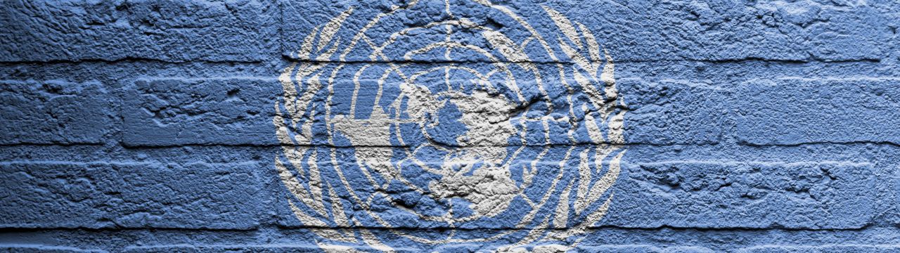 UN Flag painted on a brick wall
