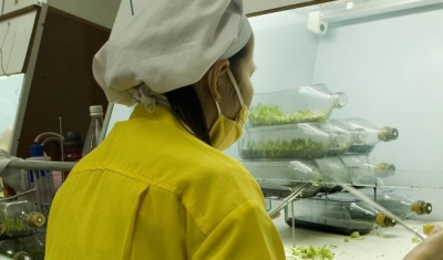 A woman working in a laboratory in a orchid farm