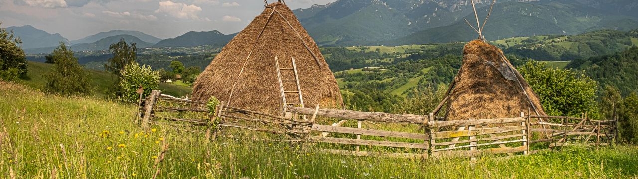 Romanian countryside