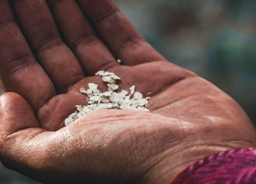 A hand holding seeds