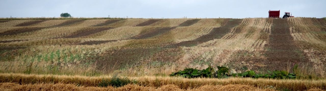 Denmark, Lolland landscape with tractor