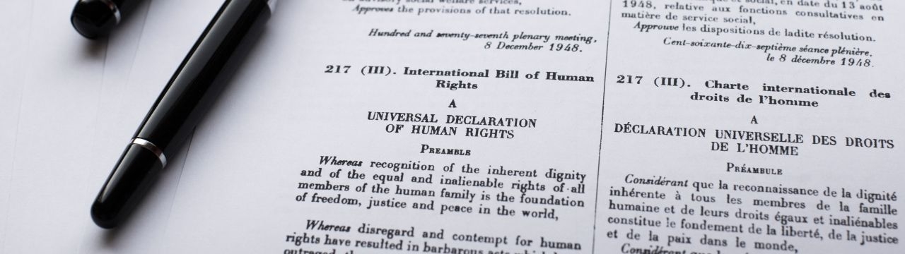 The Universal Declaration of Human Rights 