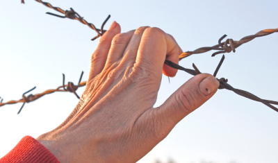 A hand on a wire fence