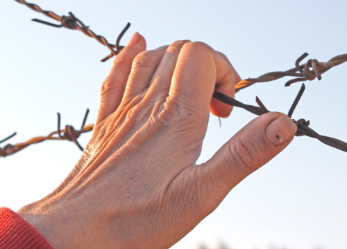 A hand on a wire fence