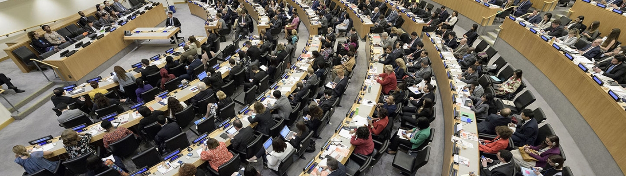 UN CEDAW Election