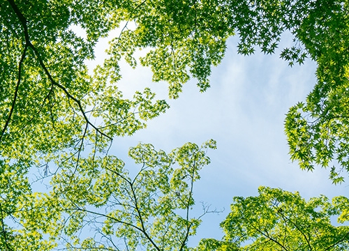Right to Healthy Environment Event