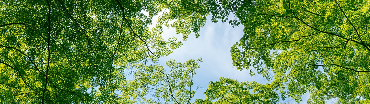 Right to Healthy Environment Event