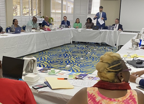 Treaty Body Follow Up Grenada