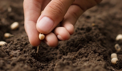 Online Right to Seeds Workshop