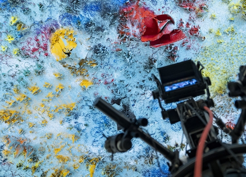 Palais de Nations Ceiling