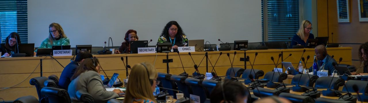 A session of the UN Human Rights Committee