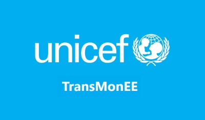 TransMonEE Database and Dashboard Logo