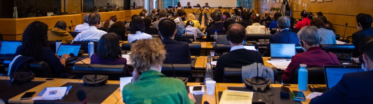 View of a session of the UN Human Rights Committee