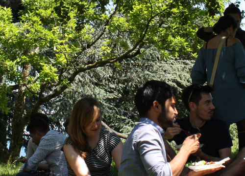 2'17 Alumni Gathering: Geneva Academy's alumni have lunch in the park