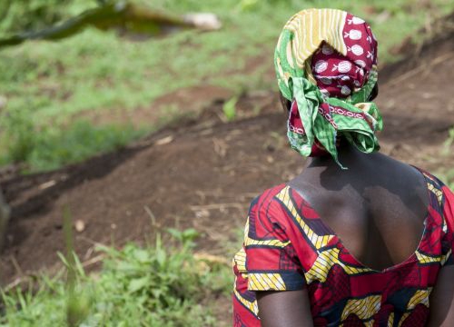 A women in a field of corn