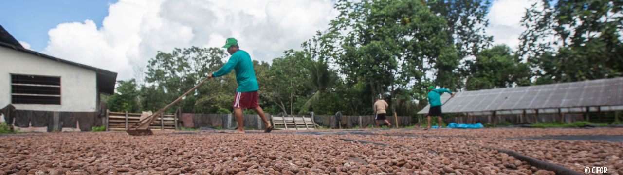 United Nations Declaration on the rights of peasants and other people in rural areas implementation