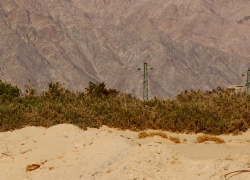 View of Sinai