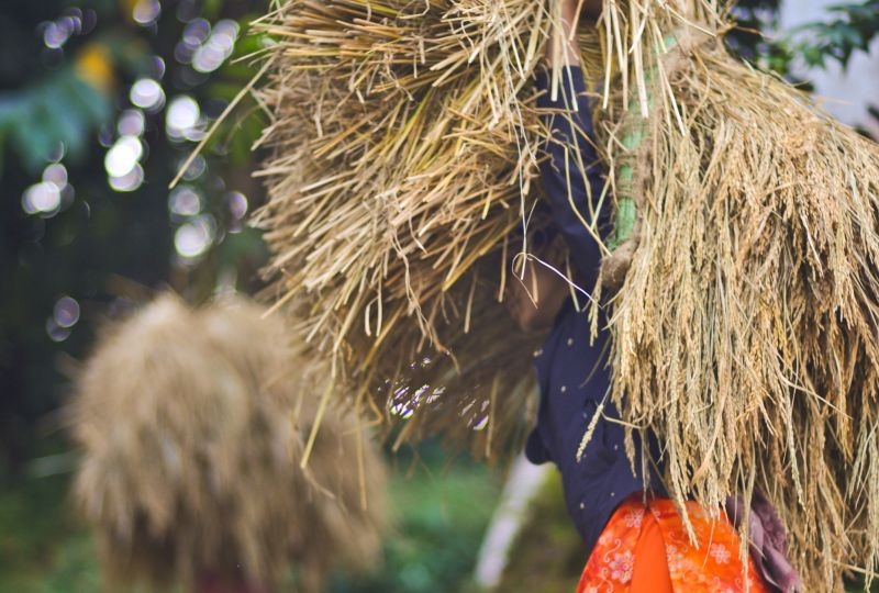 Nepa, Children carrying dried straw on the Baglung-Bartibang road.