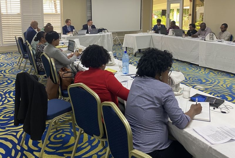 A session of the focused review pilot in Grenada