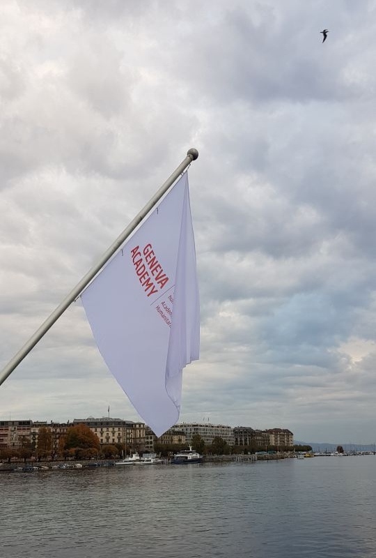 Geneva Academy flags on the Mont-Blanc bridge