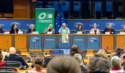 Dr Golay at the European Parliament