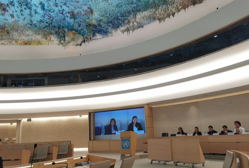 Dr Erica Harper at the UN Human Rights Council Advisory Committee