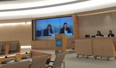 Dr Erica Harper at the UN Human Rights Council Advisory Committee