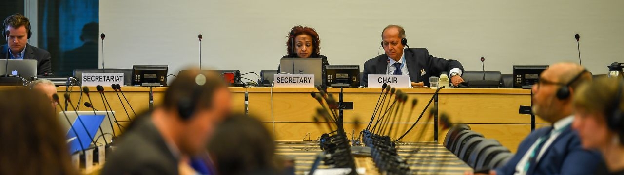 A session of a UN treary body in Geneva
