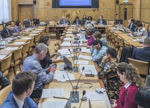 Participants in the expert seminar on the right to land and other natural resources, Palais des Nations, 17 November 2016