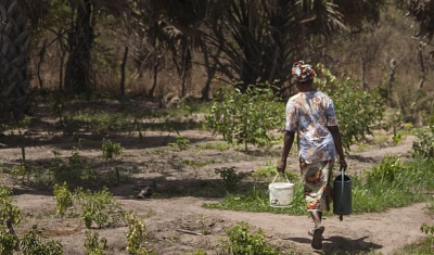 Senegal, Ziguinchor area, Bignona Department, Kataba 1 municipality, Kouram village. A woman works in a vegetable garden as part of an economic security programme.